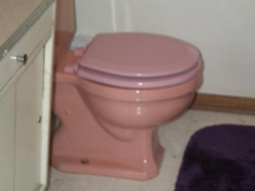 pinkToliet
